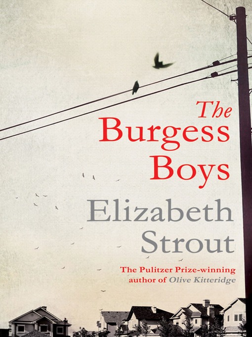 Cover image for The Burgess Boys